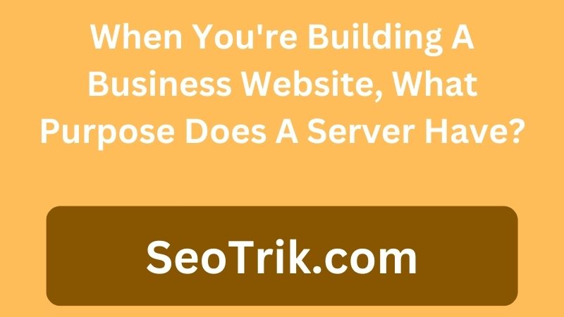 When You're Building A Business Website, What Purpose Does A Server Have?